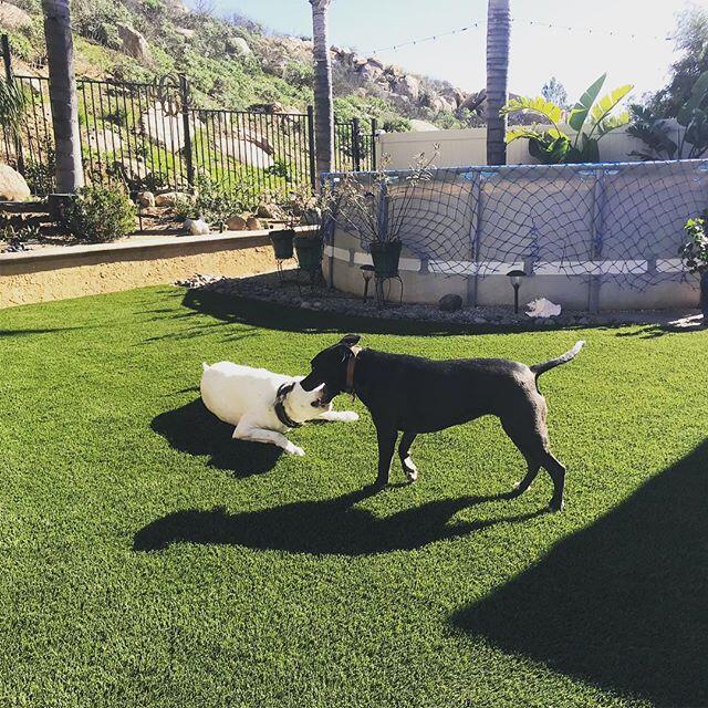 Artificial Grass Infill, Turf Install Accessories,; Menifee Artificial Grass