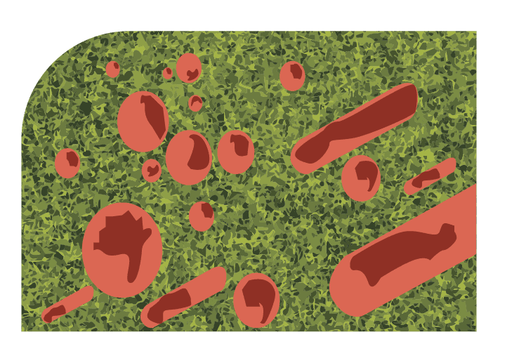 Microban Technology, Menifee Artificial Grass & Pavers for Patios & Lawns