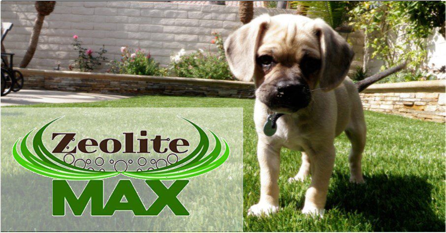 Pet Artificial Grass Systems, Menifee Artificial Grass & Pavers