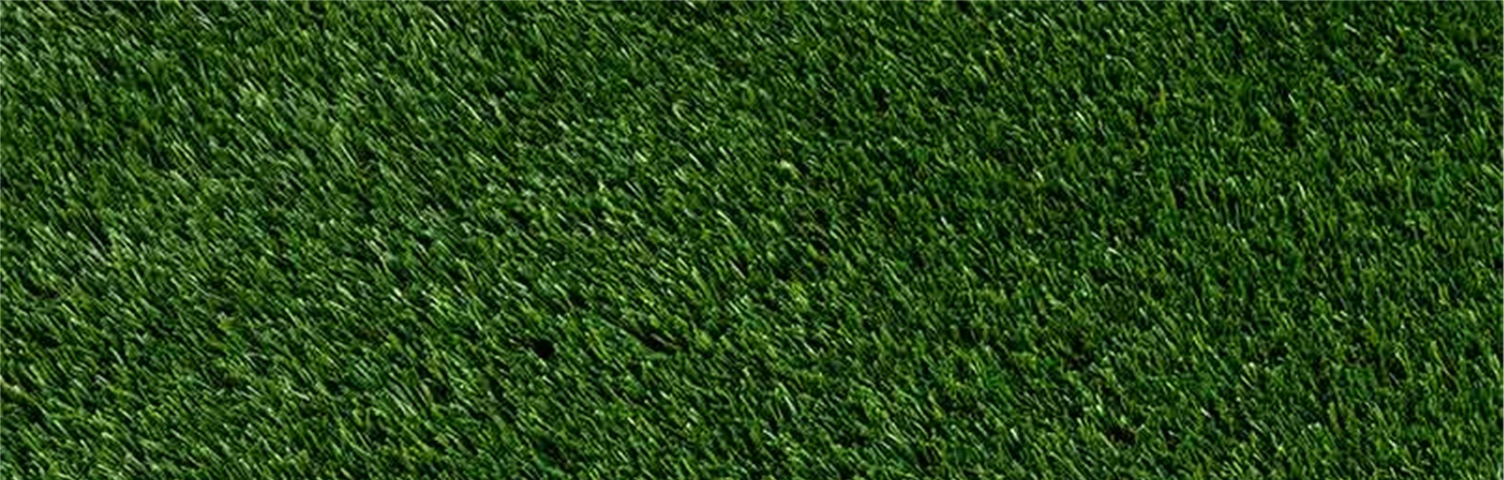 Oakmont Artificial Grass, Menifee Artificial Grass, Pavers
