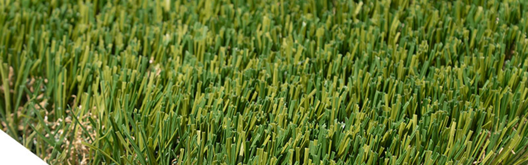 Oakmont Supreme Artificial Grass, Menifee Artificial Grass, Pavers